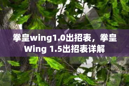 拳皇Wing 1图片