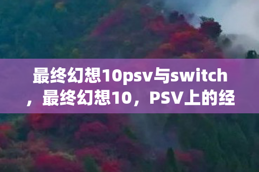 最终幻想10psv与switch图片