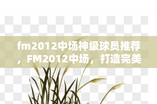 fm2012中场神级球员推荐图片
