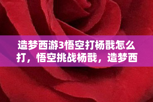 造梦西游3悟空打杨戬怎么打图片