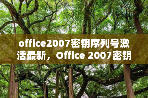 office2007密钥序列号激活最新图片