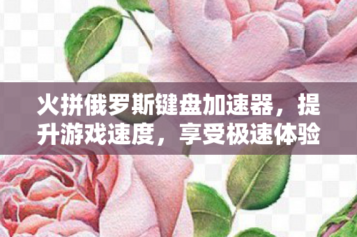 火拼俄罗斯键盘加速器图片
