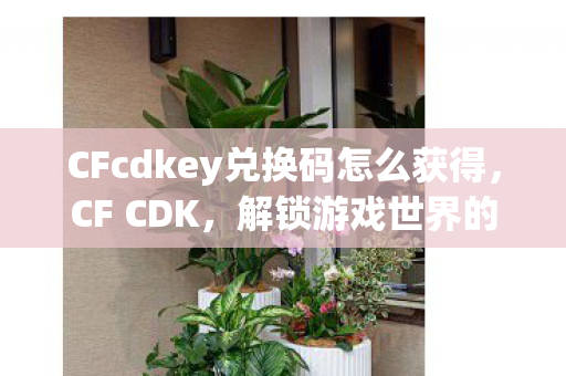 CFcdkey兑换码怎么获得图片