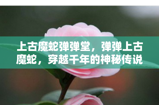 穿越千年的神秘传说图片