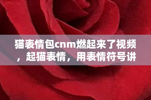 用表情符号讲述猫咪的奇妙世界图片