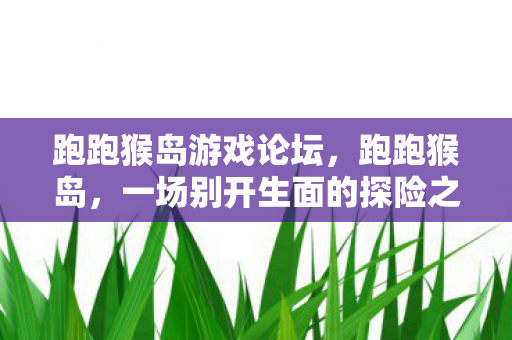 一场别开生面的探险之旅图片