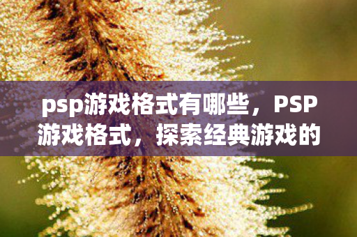 psp游戏格式有哪些图片