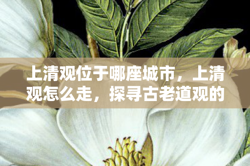 探寻古老道观的神秘之旅图片