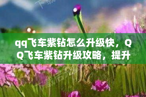 qq飞车紫钻怎么升级快图片