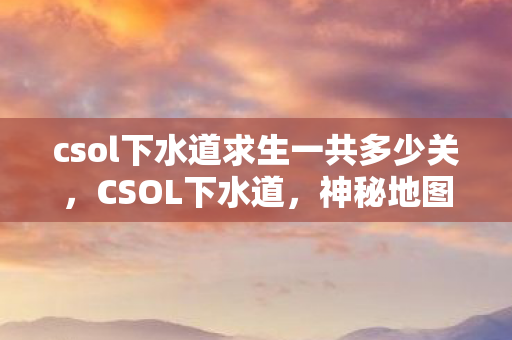 csol下水道求生一共多少关图片