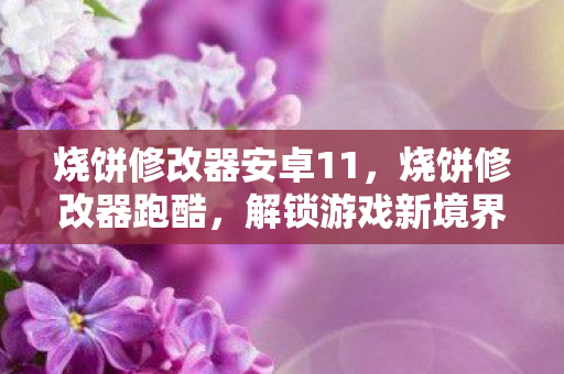 解锁游戏新境界的神奇工具图片