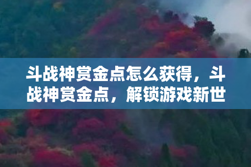 斗战神赏金点怎么获得图片