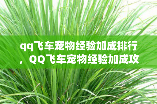 qq飞车宠物经验加成排行，QQ飞车宠物经验加成攻略