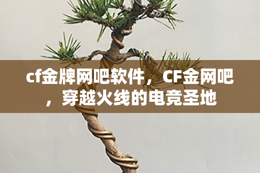 穿越火线的电竞圣地图片