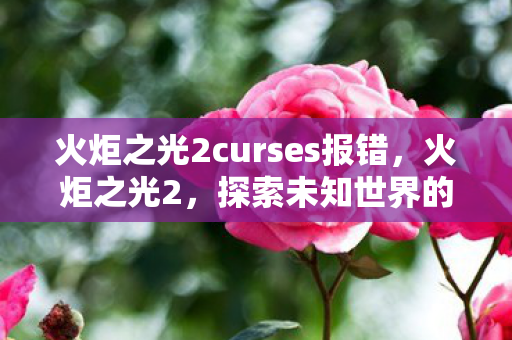 火炬之光2curses报错图片