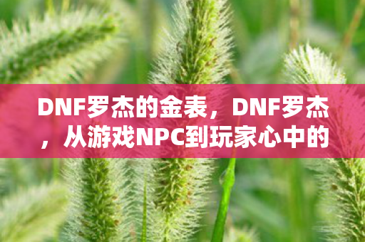 从游戏NPC到玩家心中的传奇图片