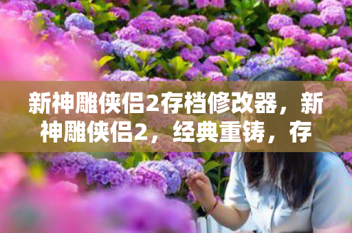 新神雕侠侣2存档修改器图片