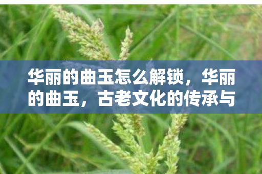 古老文化的传承与美学价值的展现图片