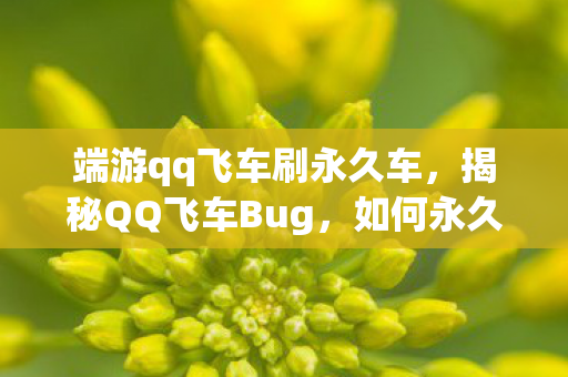 端游qq飞车刷永久车，揭秘QQ飞车Bug，如何永久刷车？