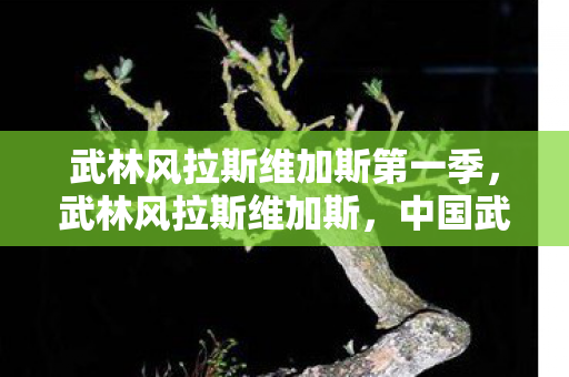 武林风拉斯维加斯第一季图片