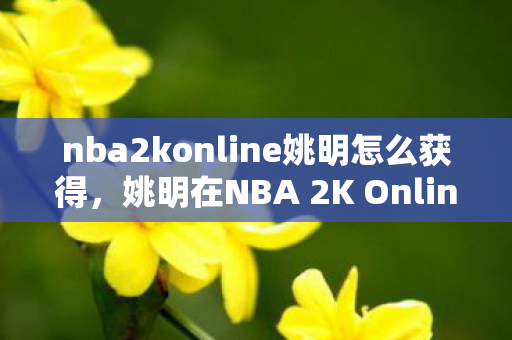 姚明在NBA 2K Online中的传奇之路图片