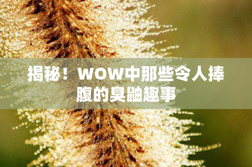 WOW中那些令人捧腹的臭鼬趣事图片