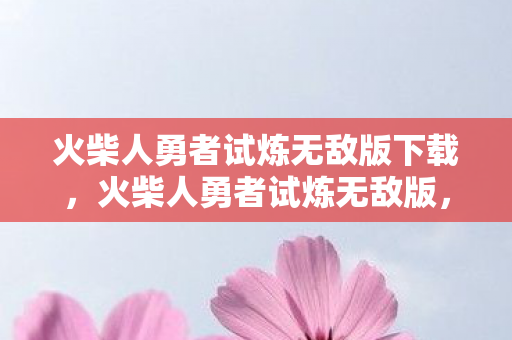 火柴人勇者试炼无敌版下载图片