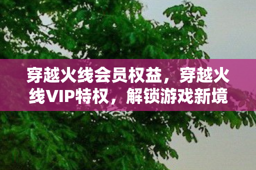 解锁游戏新境界的钥匙图片