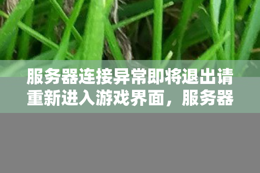 服务器连接异常即将退出请重新进入游戏界面图片