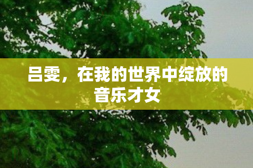 在我的世界中绽放的音乐才女图片