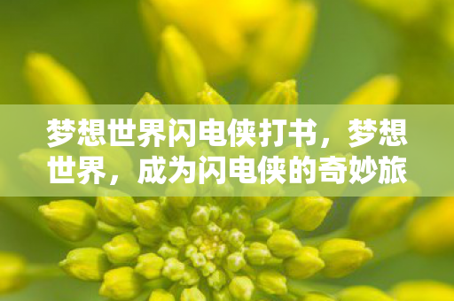 成为闪电侠的奇妙旅程图片