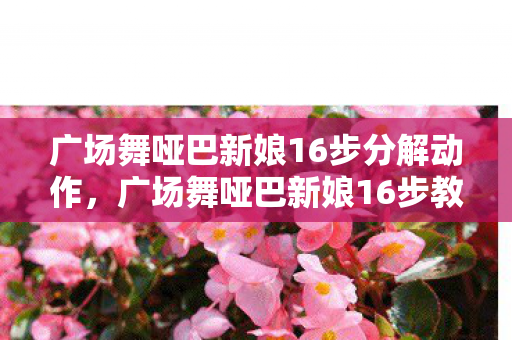 广场舞哑巴新娘16步分解动作图片