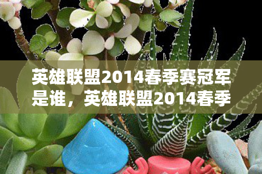 英雄联盟2014春季赛冠军是谁图片