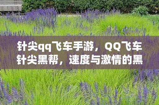 针尖qq飞车手游，QQ飞车针尖黑帮，速度与激情的黑暗势力