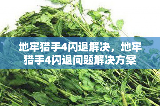 地牢猎手4闪退问题解决方案图片