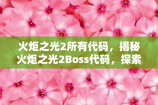 揭秘火炬之光2Boss代码图片