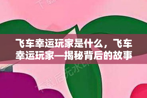 飞车幸运玩家是什么，飞车幸运玩家—揭秘背后的故事