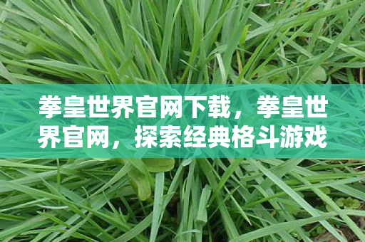 探索经典格斗游戏的全新篇章图片