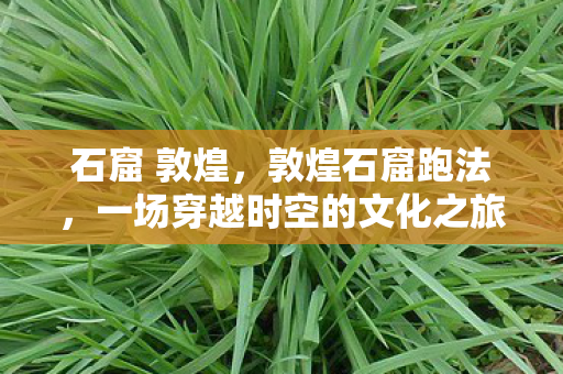 石窟 敦煌，敦煌石窟跑法，一场穿越时空的文化之旅