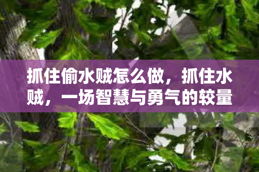 一场智慧与勇气的较量图片