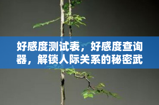 解锁人际关系的秘密武器图片