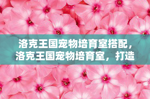 洛克王国宠物培育室搭配图片