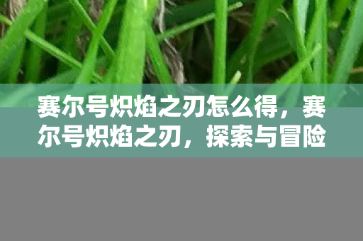 赛尔号炽焰之刃怎么得图片