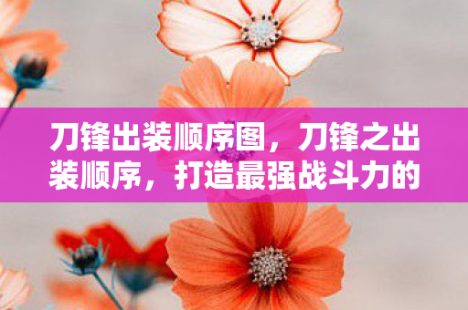 打造最强战斗力的关键图片