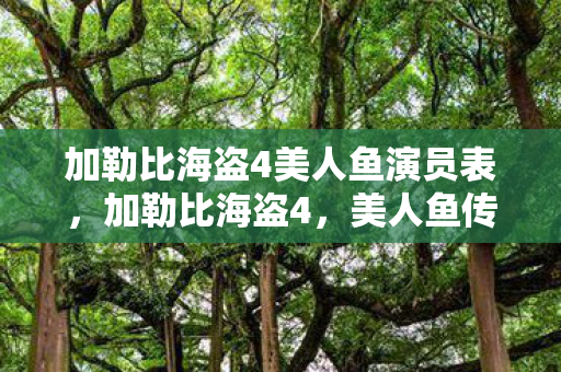 加勒比海盗4美人鱼演员表图片