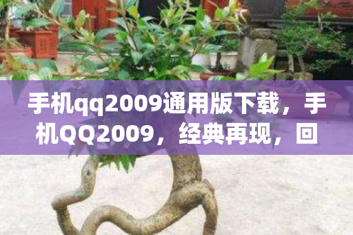 手机qq2009通用版下载图片