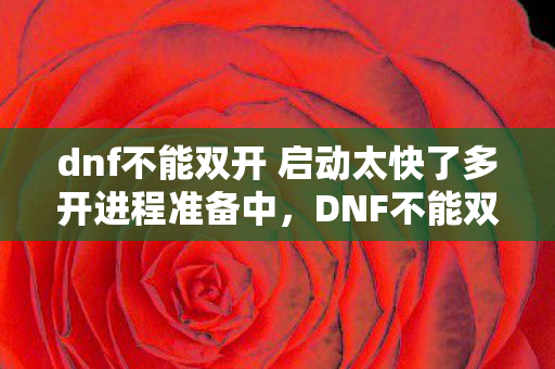 dnf不能双开 启动太快了多开进程准备中图片