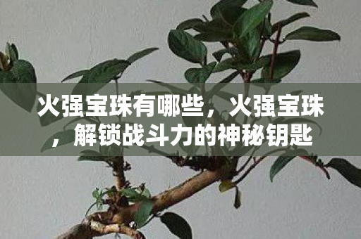 解锁战斗力的神秘钥匙图片