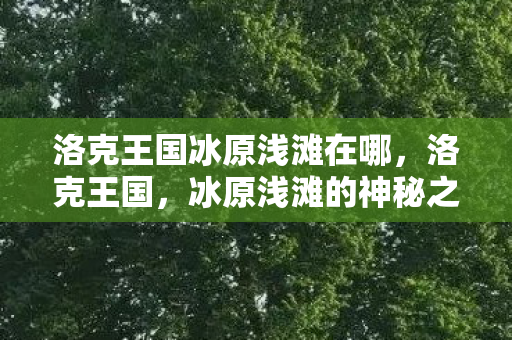 洛克王国冰原浅滩在哪图片