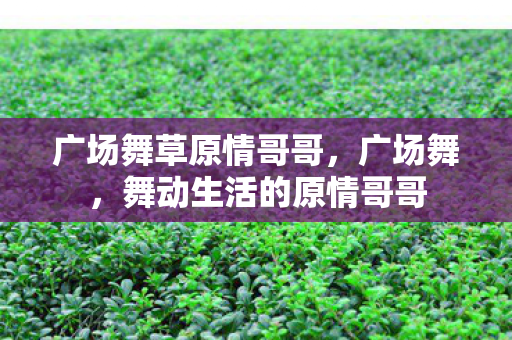 舞动生活的原情哥哥图片